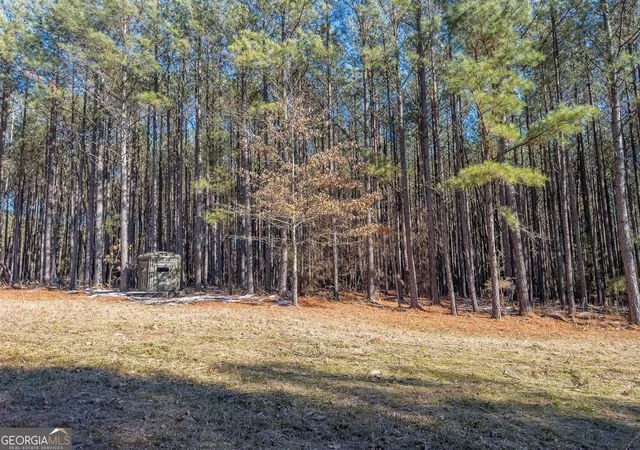 4th image of 1250 Rogers Rd, Tignall, GA 30668 | MLS# 10823917