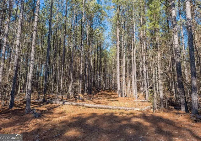 5th image of 1250 Rogers Rd, Tignall, GA 30668 | MLS# 10823917