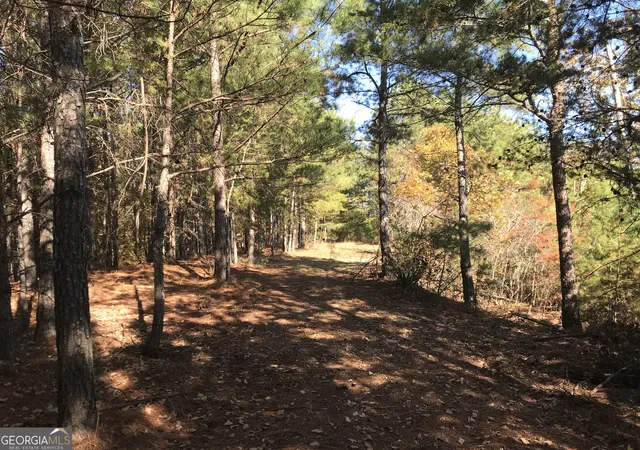 Photo 4 of Land for sale at 0 Old Oakman Road Road Ne #9628-A, Ranger, GA 30734 | MLS# 20178369 | Listing updated on 2026-09-07