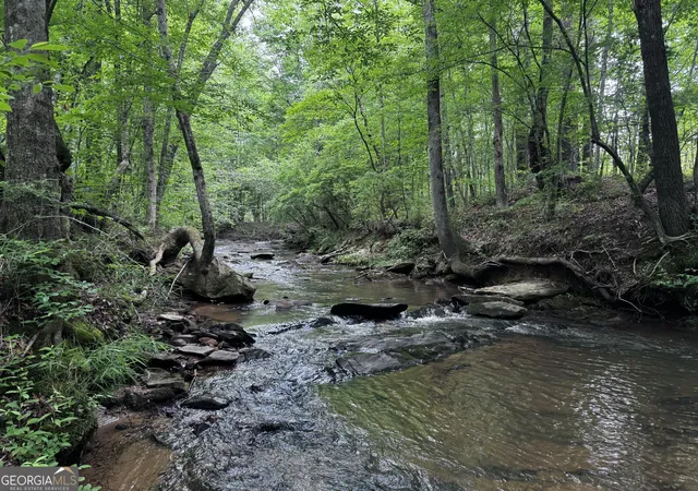 Photo 1 of Land for sale at 715+/  Ac Ridgeway Rd, Franklin, GA 30217 | MLS# 10762681 | Listing updated on 2026-10-17