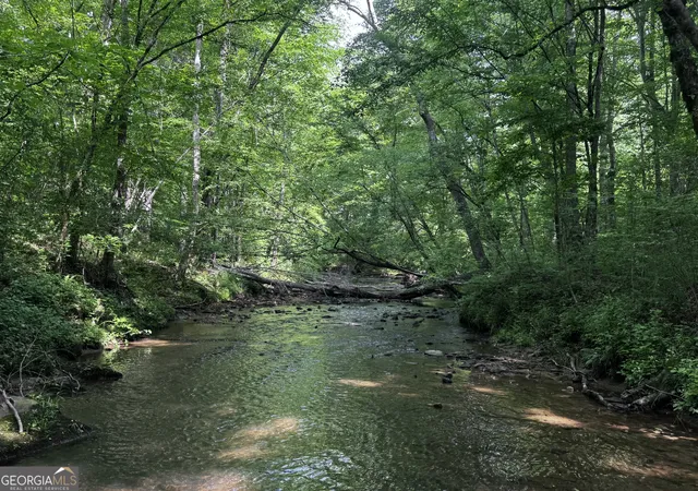 Photo 3 of Land for sale at 715+/  Ac Ridgeway Rd, Franklin, GA 30217 | MLS# 10762681 | Listing updated on 2026-10-17
