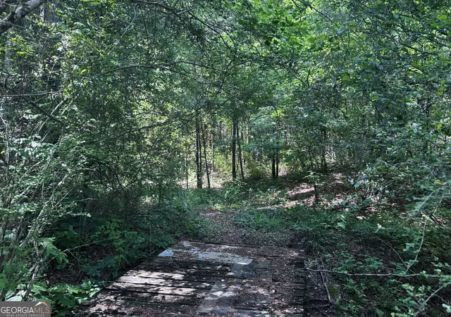 Photo 4 of Land for sale at 715+/- Ac Ridgeway Rd, Franklin, GA 30217 | MLS# 10762681 | Listing updated on 2026-10-17