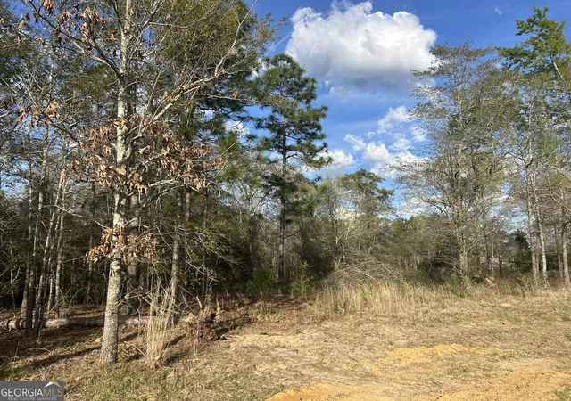 2nd image of 0 Hwy 80 East, Brooklet, GA 30415 | MLS# 10712661