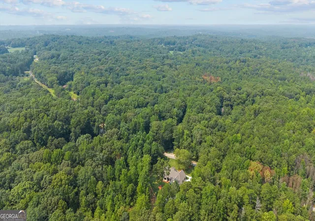 55th image of 335 Gilley Rd, Carrollton, GA 30116 | MLS# 10816113