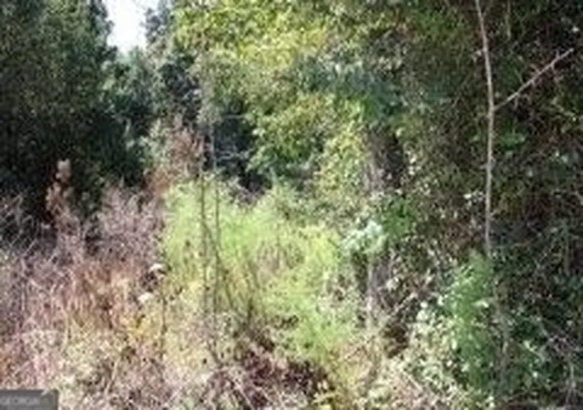 Photo 2 of Land for sale at 3206 East Fairview Rd, Stockbridge, GA 30281 | MLS# 10373172 | Listing updated on 2026-07-28