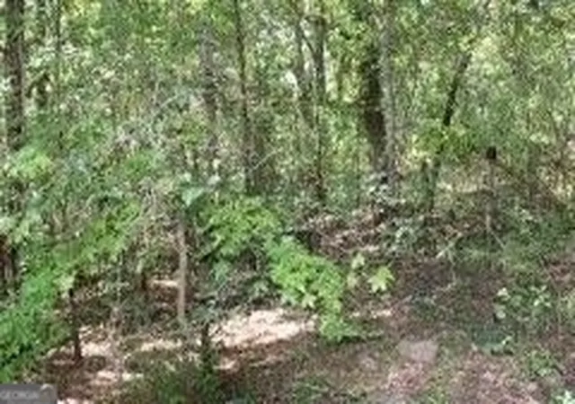 Photo 4 of Land for sale at 3206 East Fairview Rd, Stockbridge, GA 30281 | MLS# 10373172 | Listing updated on 2026-07-28