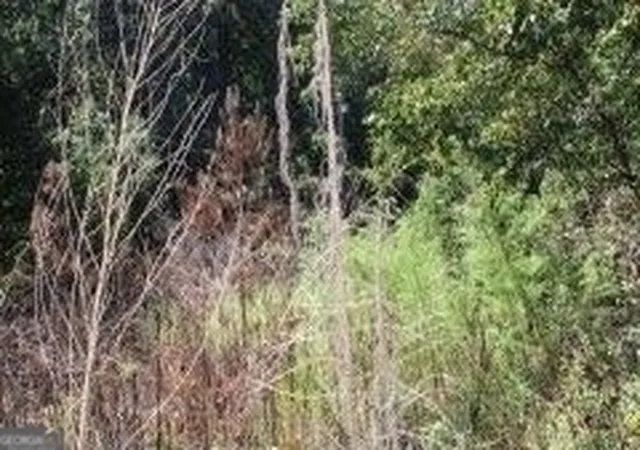 Photo 9 of Land for sale at 3206 East Fairview Rd, Stockbridge, GA 30281 | MLS# 10373172 | Listing updated on 2026-07-28
