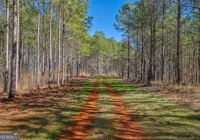 1st image of T1 2 Old Zebulon Rd, Forsyth, GA 31029 | MLS# 10825987