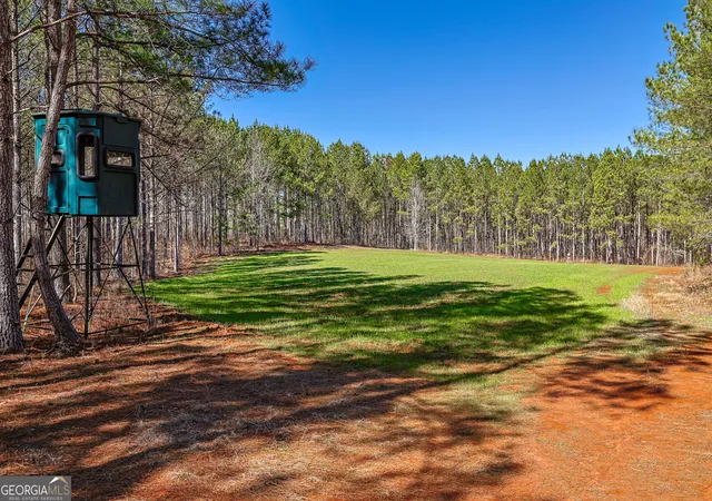 2nd image of T1 2 Old Zebulon Rd, Forsyth, GA 31029 | MLS# 10825987