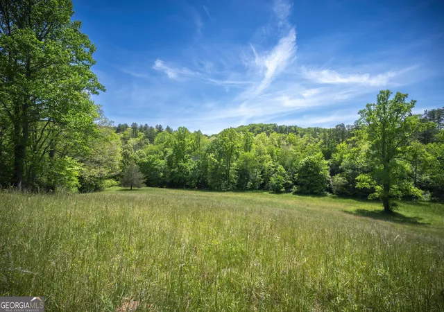 1st image of Lot 2 2a Jonica Gap Rd, Mineral Bluff, GA 30559 | MLS# 10799717