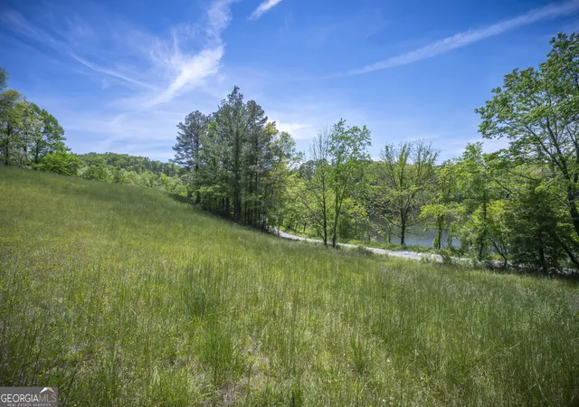 3rd image of Lot 2-2A Jonica Gap Rd, Mineral Bluff, GA 30559 | MLS# 10799717