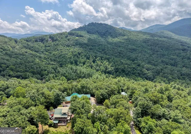 57th image of 276 Moon Shadow Trl, Blairsville, GA 30512 | MLS# 10819603