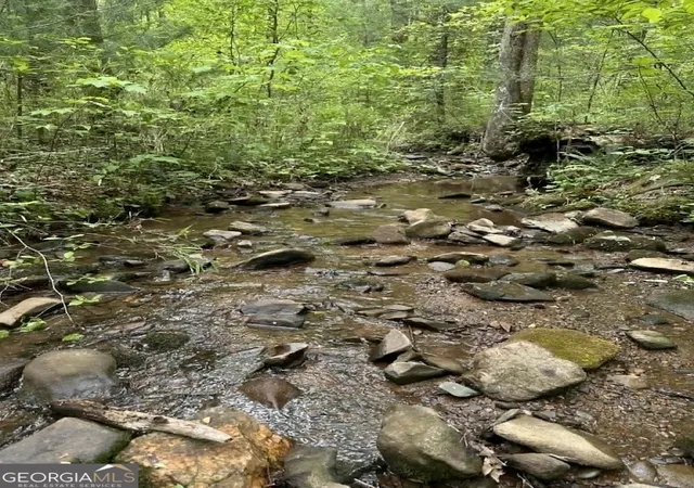 Photo 3 of Sale Pending at Tr 1 Pleasant Hl Trl, Ellijay, GA 30540 | MLS# 10757749 | Listing updated on 2026-09-01