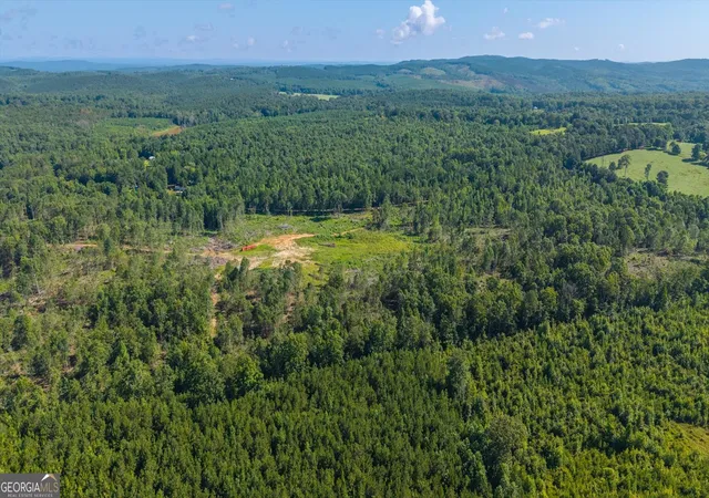 Photo 3 of Land for sale at 0 County Road 404 #TRACT 2, Heflin, AL 36264 | MLS# 10822011 | Listing updated on 2026-08-22