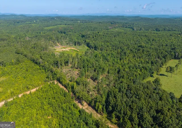Photo 4 of Land for sale at 0 County Road 404 #TRACT 2, Heflin, AL 36264 | MLS# 10822011 | Listing updated on 2026-08-22