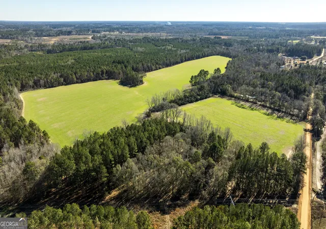 Photo 2 of Land for sale at 0 Sam Tillman, Statesboro, GA 30458 | MLS# 10686475 | Listing updated on 2026-02-20