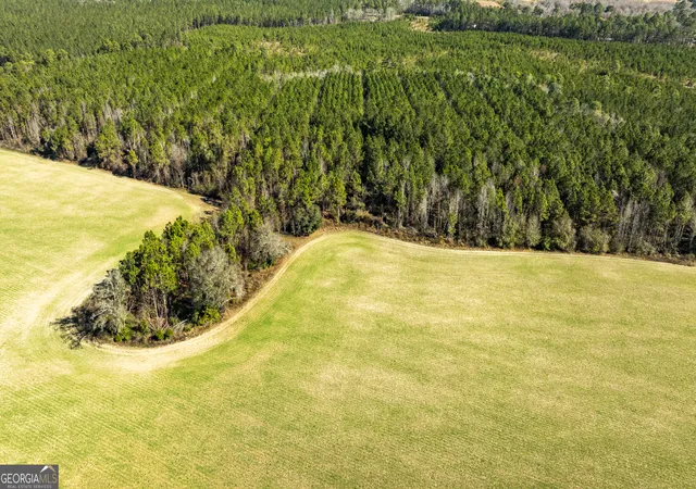 Photo 3 of Land for sale at 0 Sam Tillman, Statesboro, GA 30458 | MLS# 10686475 | Listing updated on 2026-02-20