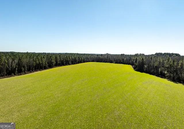 Photo 4 of House for sale at 0 Sam Tillman, Statesboro, GA 30458 | MLS# 10686475 | Listing updated on 2026-02-20