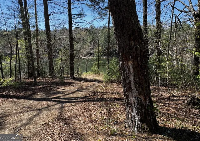 55th image of 92 Misty Mountain Trl, Morganton, GA 30560 | MLS# 10763200