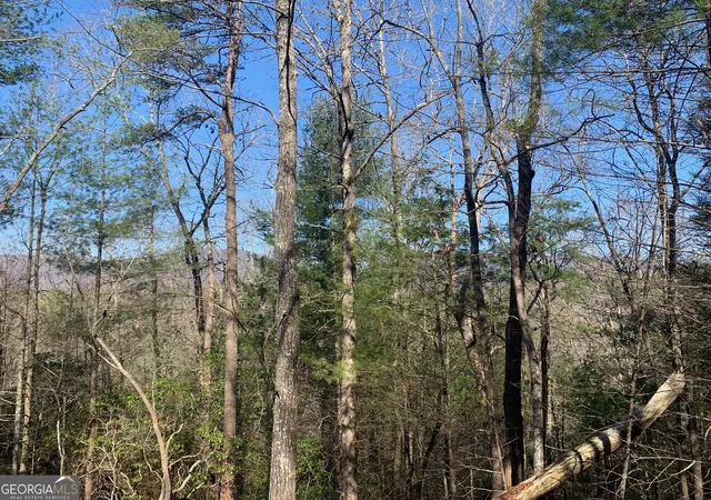 11th image of 0 East New Hope Rd #TRACT A, Ellijay, GA 30536 | MLS# 10820991