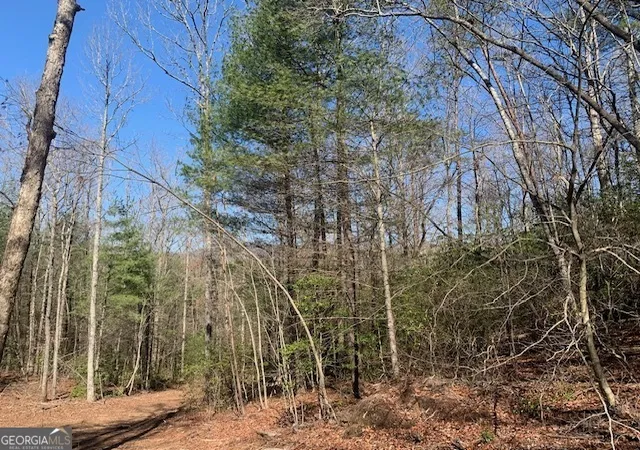 1st image of 0 East New Hope Rd #TRACT A, Ellijay, GA 30536 | MLS# 10820991