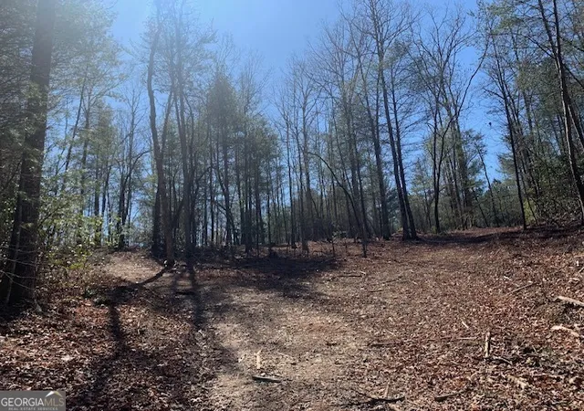 2nd image of 0 East New Hope Rd #TRACT A, Ellijay, GA 30536 | MLS# 10820991