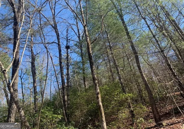 Photo 3 of Land for sale at 0 East New Hope Rd #TRACT A, Ellijay, GA 30536 | MLS# 10820991 | Listing updated on 2026-08-24
