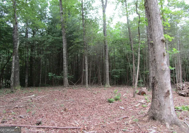 Photo 3 of Land for sale at 0 East New Hope Rd #TRACT A, Ellijay, GA 30536 | MLS# 10820991 | Listing updated on 2026-08-24