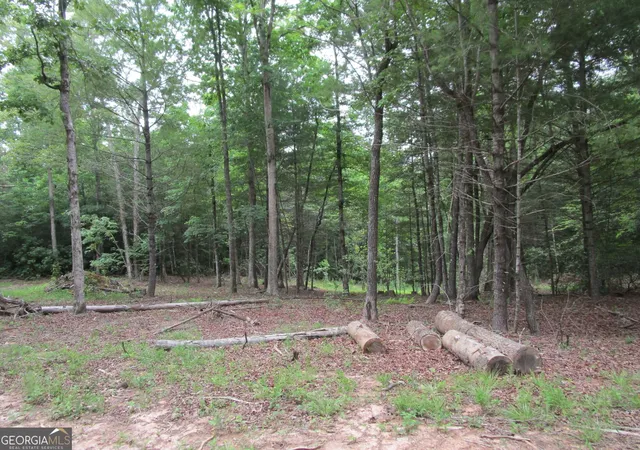 Photo 4 of Land for sale at 0 East New Hope Rd #TRACT A, Ellijay, GA 30536 | MLS# 10820991 | Listing updated on 2026-08-24