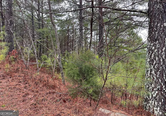 18th image of 26 Sunset Vw, Blairsville, GA 30512 | MLS# 10669366