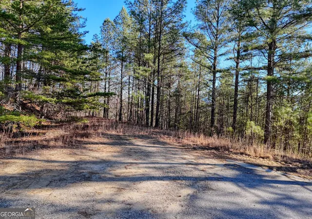 3rd image of 26 Sunset Vw, Blairsville, GA 30512 | MLS# 10669366