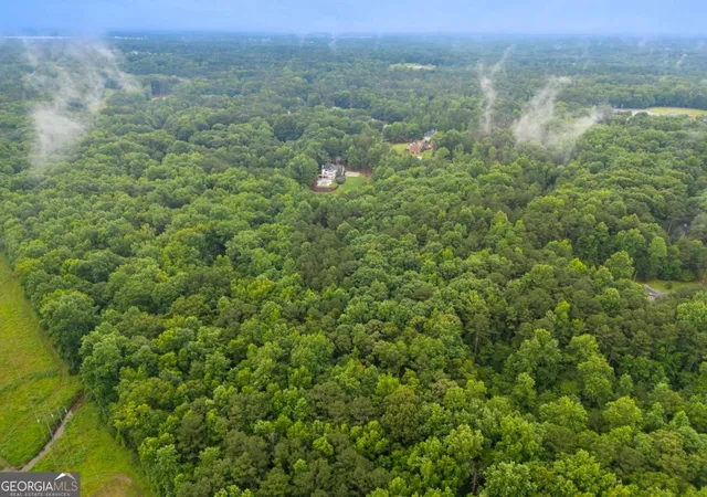 4th image of 151 Melvin Phillips Rd, Newnan, GA 30263 | MLS# 10790304
