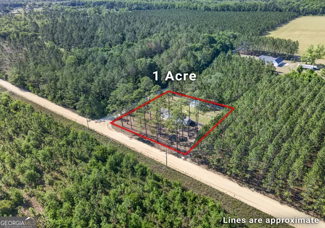 Homes for sale in Patterson, GA | 5860 Cantrell Rd, Patterson, GA 31557 | MLS# 10758417