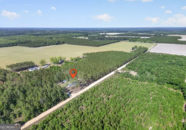 Homes for sale in Patterson, GA | 5860 Cantrell Rd, Patterson, GA 31557 | MLS# 10758417