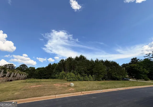 3rd image of 420 Vinings Walk, Fayetteville, GA 30214 | MLS# 10769622