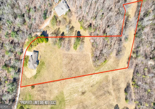 Homes for sale in Ellijay, GA | 358 Old Jones Rd, Ellijay, GA 30536 | MLS# 10740442