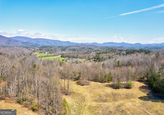 Homes for sale in Ellijay, GA | 358 Old Jones Rd, Ellijay, GA 30536 | MLS# 10740442