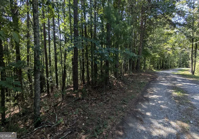 Photo 4 of Land for sale at 407 Jester Ct, Ranger, GA 30734 | MLS# 10835241 | Listing updated on 2026-09-11