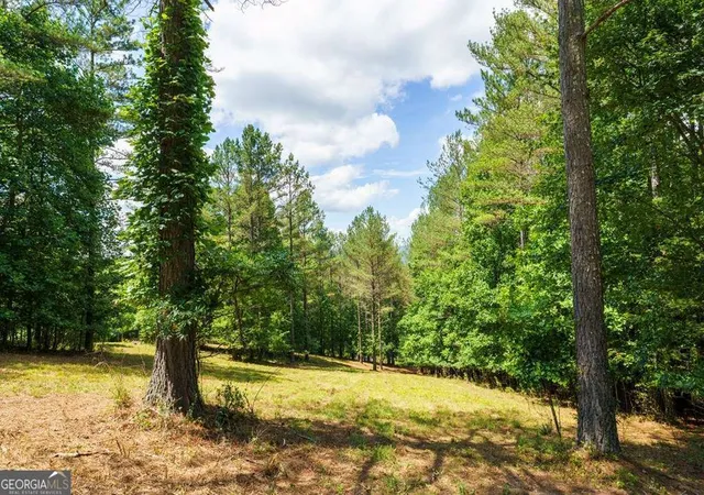 4th image of Lot 20 Loftis Mtn, Blairsville, GA 30512 | MLS# 10790803