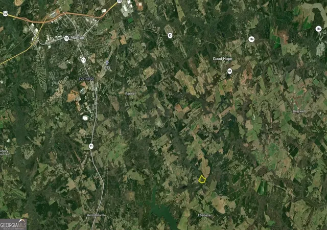 45th image of 0 Hester Town Rd, Monroe, GA 30655 | MLS# 10810417
