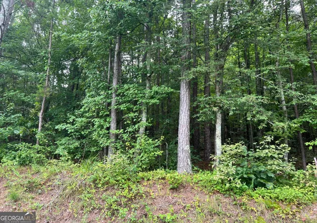 Photo 1 of Sale Pending at 119 Kirk Rd Nw, White, GA 30184 | MLS# 10582042 | Listing updated on 2025-10-28