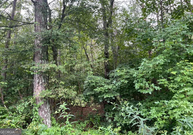 Photo 2 of Sale Pending at 119 Kirk Rd Nw, White, GA 30184 | MLS# 10582042 | Listing updated on 2025-10-28