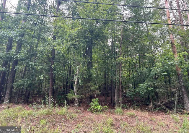 Photo 3 of Sale Pending at 119 Kirk Rd Nw, White, GA 30184 | MLS# 10582042 | Listing updated on 2025-10-28