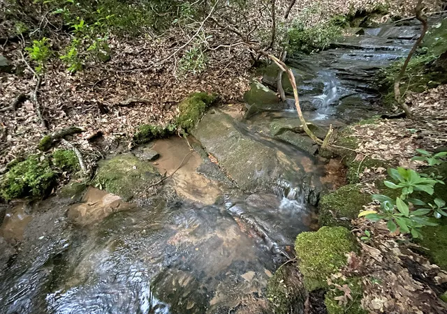 Photo 1 of Land for sale at 64 Kristen Ln, Ellijay, GA 30540 | MLS# 10811083 | Listing updated on 2026-10-13