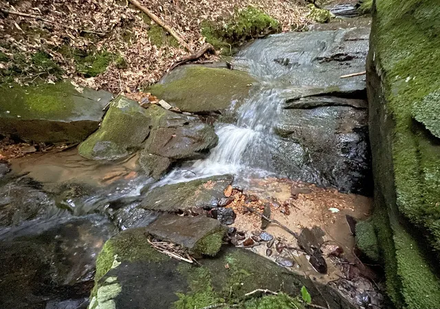 Photo 2 of Land for sale at 64 Kristen Ln, Ellijay, GA 30540 | MLS# 10811083 | Listing updated on 2026-10-13