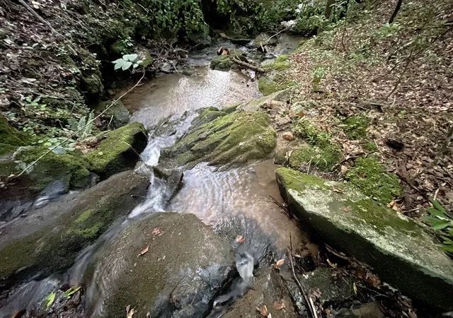 Photo 3 of Land for sale at 64 Kristen Ln, Ellijay, GA 30540 | MLS# 10811083 | Listing updated on 2026-10-13
