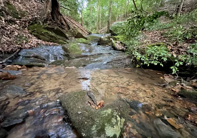 Photo 3 of Land for sale at 64 Kristen Ln, Ellijay, GA 30540 | MLS# 10811083 | Listing updated on 2026-10-20