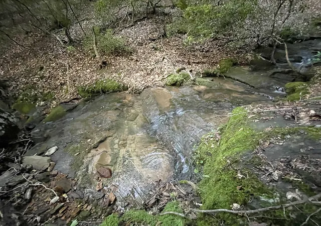 Photo 4 of Land for sale at 64 Kristen Ln, Ellijay, GA 30540 | MLS# 10811083 | Listing updated on 2026-10-20