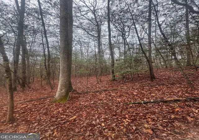 Photo 1 of Land for sale at 0 W Mountaintown Trl, Ellijay, GA 30540 | MLS# 10659772 | Listing updated on 2026-08-07