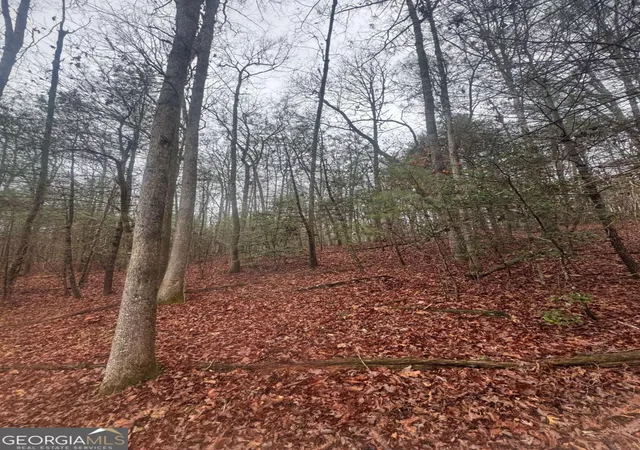 Photo 2 of Land for sale at 0 W Mountaintown Trl, Ellijay, GA 30540 | MLS# 10659772 | Listing updated on 2026-08-07